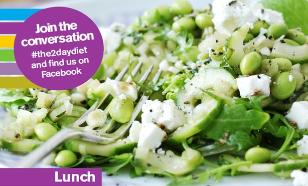 La dieta de los dos días,  PDF para descargar gratis