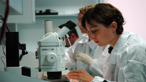 Dieta Dukan ¿peligrosa para los riñones? Dieta Dukan ¿peligrosa para los riñones?