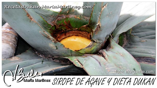 Sirope de Ágave y dieta Dukan: NO apto para Ataque o Crucero Sirope de Ágave y dieta Dukan: NO apto para Ataque o Crucero